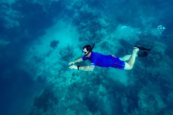 A Private TURTLE Tour on Rarotonga with Photography and Transfers - The Sum Up