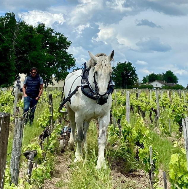 A Private Wine Tour at Château Labrie - Booking Details