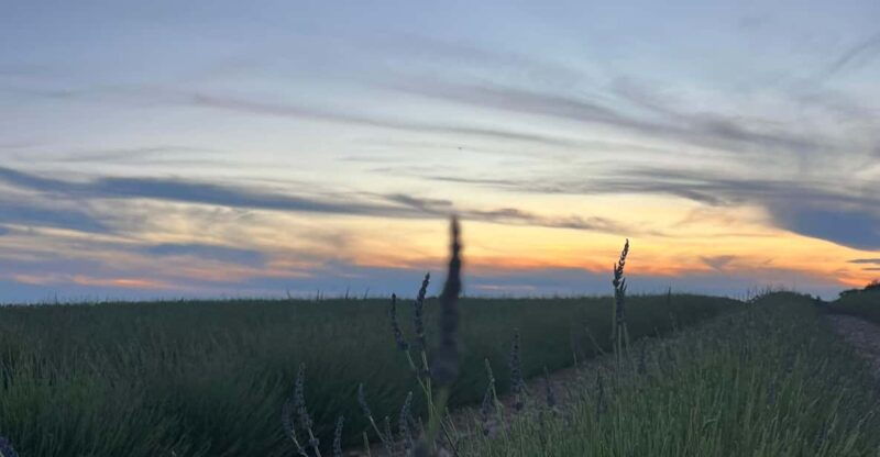 A Provençal Picnic at Sunset in the Lavender Fields - Itinerary Overview: A Perfect Day in Provence