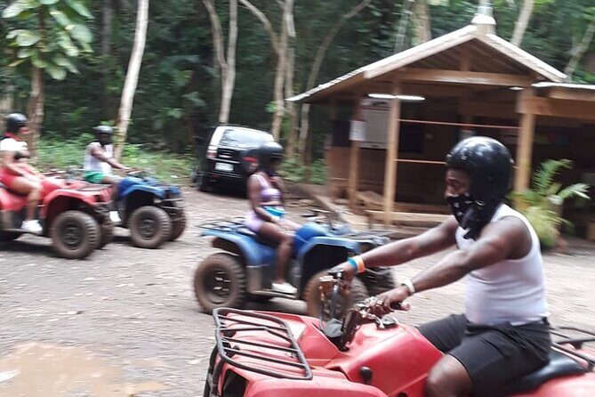 A Real Taste of Jamaica Explore like never Before - Who Will Love This Tour?