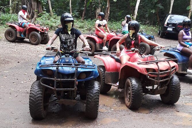 A Real Taste of Jamaica Explore like never Before - The Sum Up