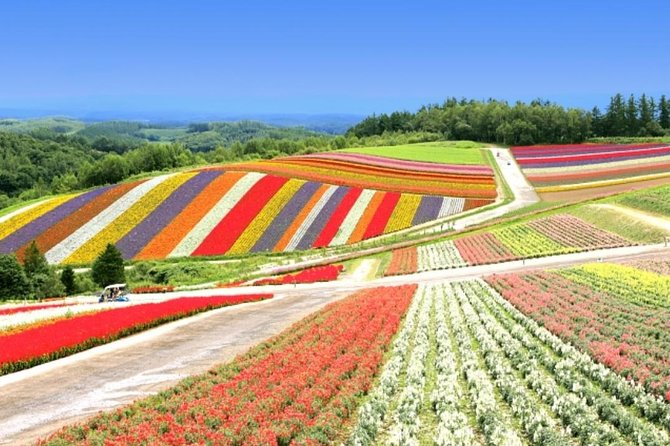 A Relaxing Day for Furano, Biei Blue Pond& Local Curry Lunch in Hokkaido! - Additional Information and Policies