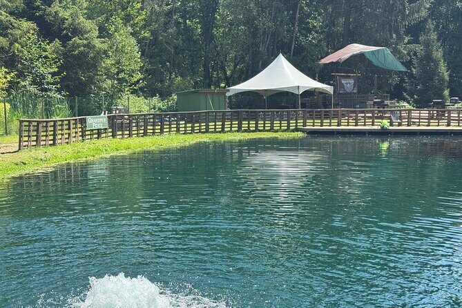 A Relaxing Day of Fishing and Fresh BBQ - Exploring Silverbrook Farm: What to Expect