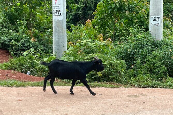 A Rem Ethnic Village Cultural Day Tour - Why This Tour Is a Great Choice