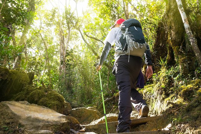 A Rendezvous With Nature - Templer Park and Kanching Waterfall Tour - Transportation and Logistics