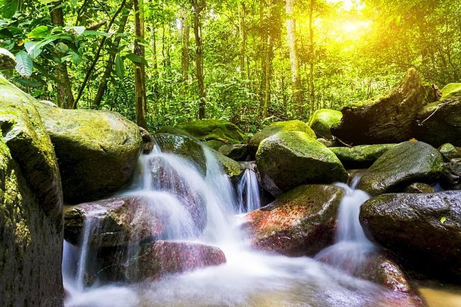 A Rendezvous With Nature - Templer Park and Kanching Waterfall Tour - Important Tour Reminders