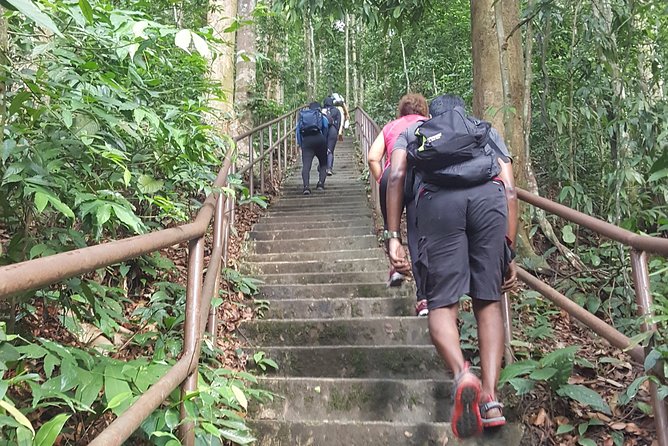 A Rendezvous With Nature - Templer Park and Kanching Waterfall Tour - The Sum Up