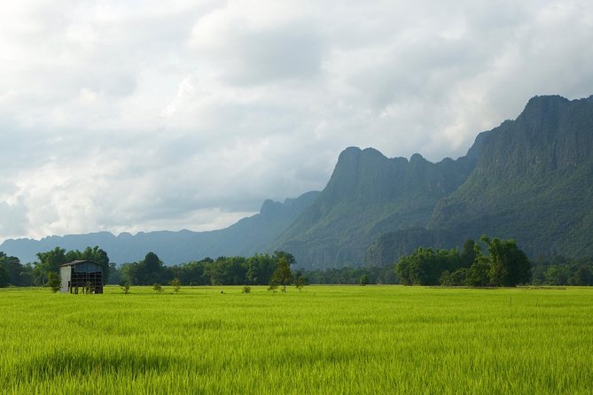 A Rice Journey in Luang Prabang - Daily Life in the Lao Countryside