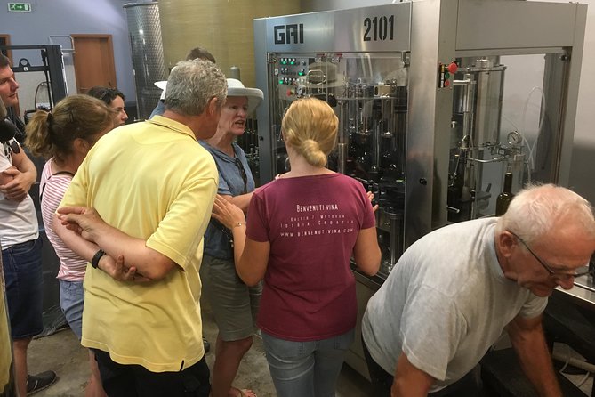 A Sample Of Wine, A Sample Of Istria - A Short But Fulfilled Program - Pricing and Reviews