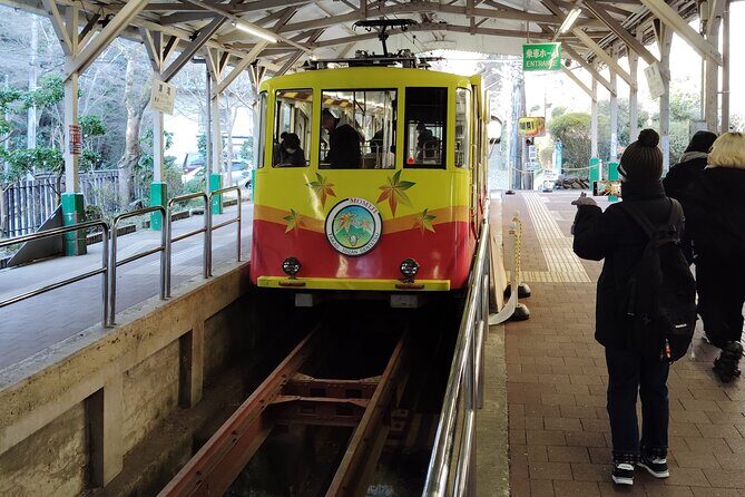 A Scenic Private Tour in Mount Takao Tokyo - Who Would Love This Tour?