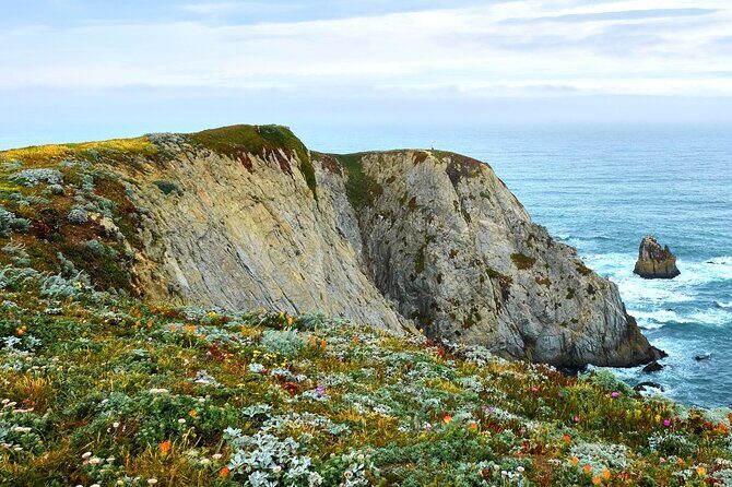 A Self-Guided Audio Tour Around Bodega Head - Exploring Bodega Head: A Self-Guided Audio Adventure