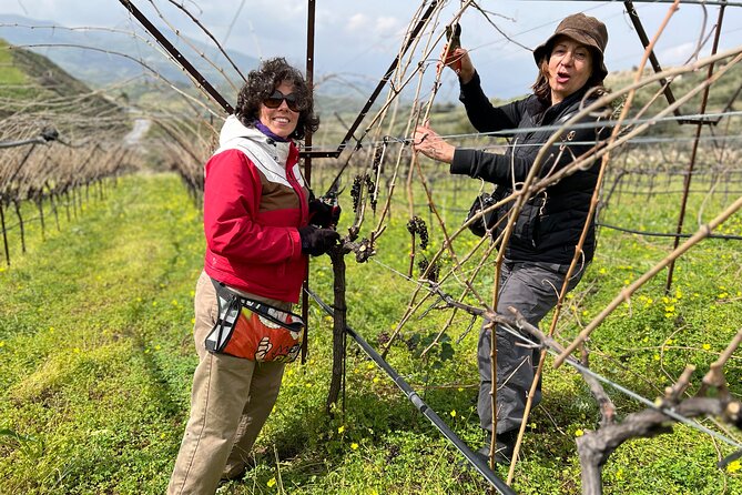 A Sensory Journey of Cretan Wines - Meeting and Pickup Details