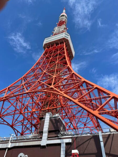 A Show Featuring Japanese Festivals - Cancellation Policy