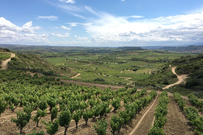 A Sip-By-Sip Tour of 3 Boutique Rioja Family Wineries (Private Tour With Lunch) - Reviews and Ratings