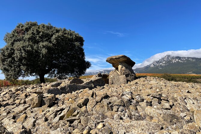 A Sip-By-Sip Tour of 3 Boutique Rioja Family Wineries (Private Tour With Lunch) - Common Questions