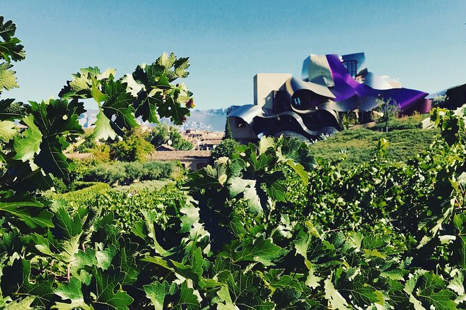 A Sip-By-Sip Tour of 3 Boutique Rioja Family Wineries (Private Tour With Lunch) - The Sum Up