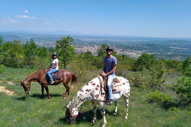 A Small-Group, Guided Haute-Provence Horseback Tour  - Moustiers-Sainte-Marie - Horse Care and Safety Measures