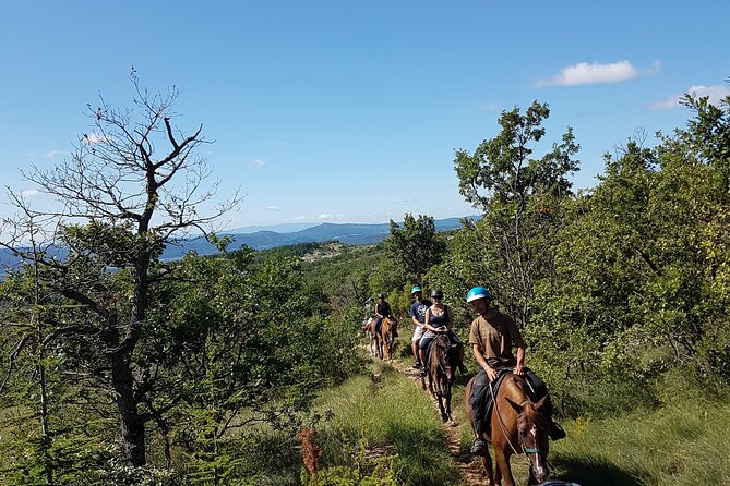 A Small-Group, Guided Haute-Provence Horseback Tour  - Moustiers-Sainte-Marie - Common Questions
