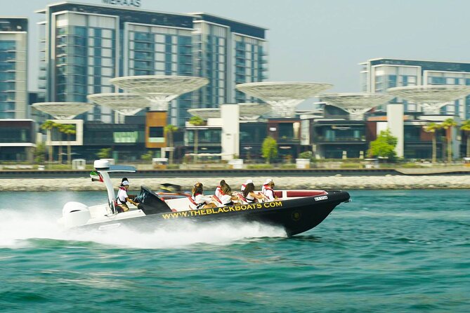 A Small-Group Speedboat Tour of Dubais Top Coastal Sights - The Sum Up