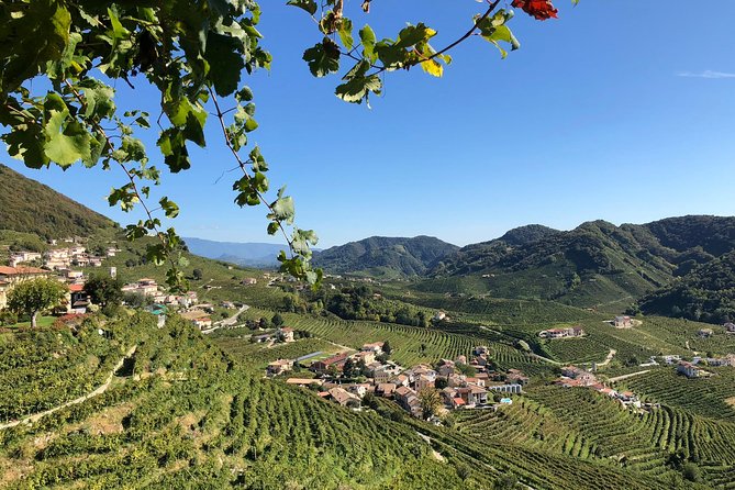 A Sparkling Day in the Prosecco Hills - Wine Tasting and Prosecco Making