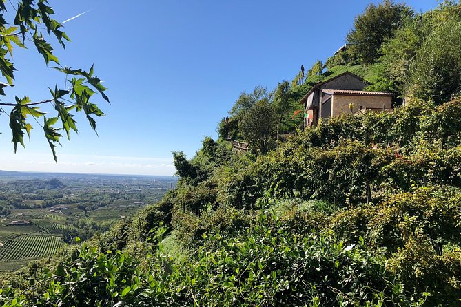 A Sparkling Day in the Prosecco Hills - Flexible Cancellation Policy