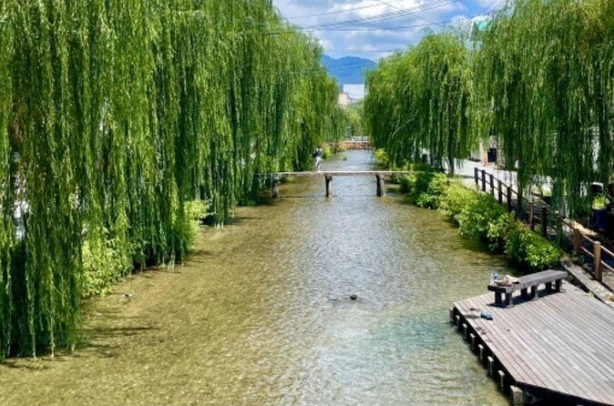 A Stroll Through Old Kyoto Geisha at Dusk - Who Should Consider This Tour?