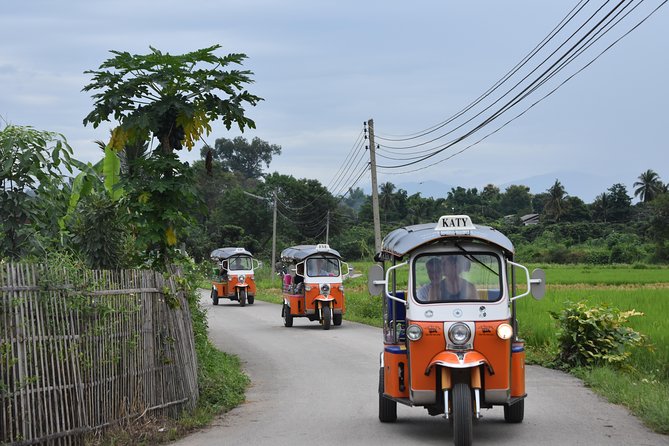 A Stunning 11 Day Tuk Tuk Adventure in Northern Thailand - With Driver - Inclusions