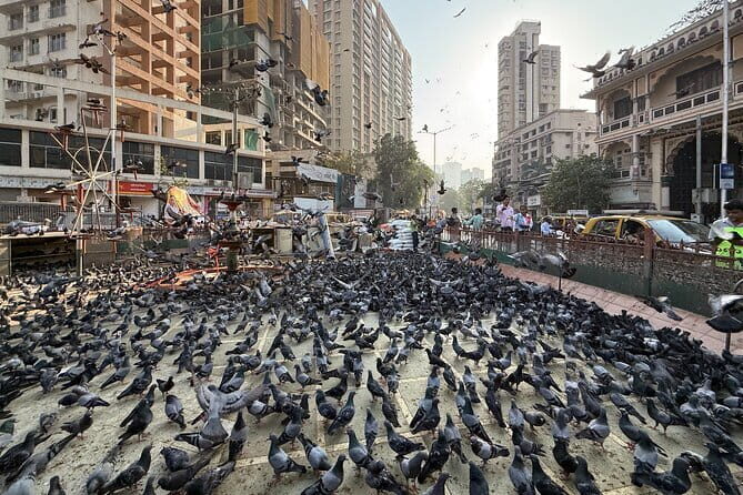 A Symphony of Seven Islands - Discover Mumbai's story in One Day - Why This Tour Offers Great Value