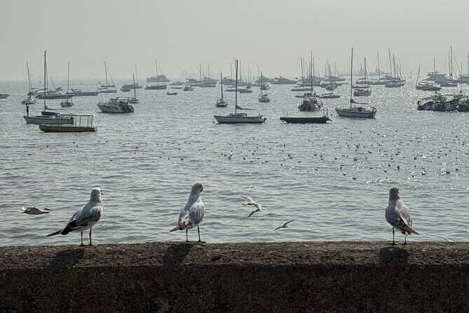 A Symphony of Seven Islands - Discover Mumbai's story in One Day - The Gateway of India and Imperial Bombay