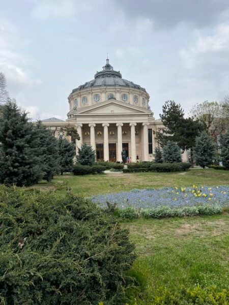 A Tale of Bucharest Calea Victoriei Walking Tour - The Sum Up