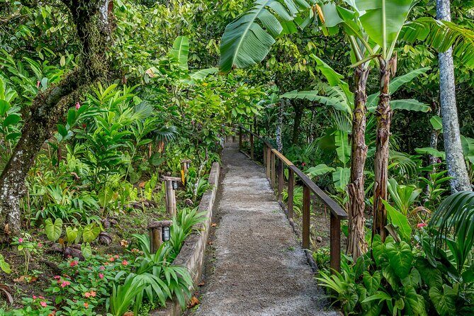 A Taste of Fond Doux Private Walking Tour - Exploring the Experience: What to Expect