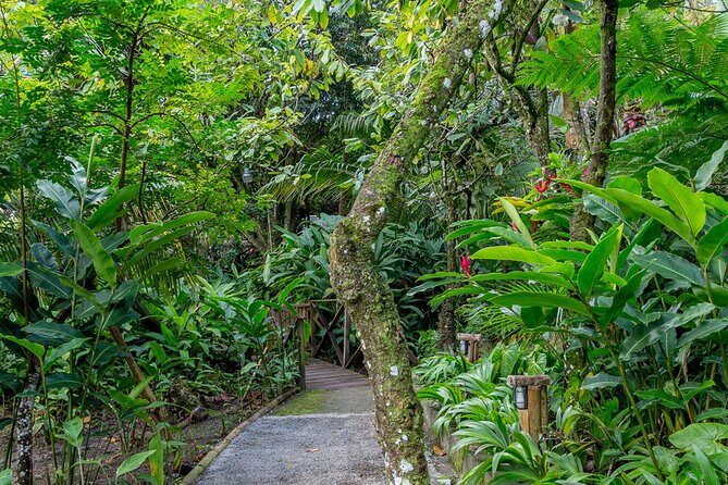 A Taste of Fond Doux Private Walking Tour - Who Should Book This Tour?