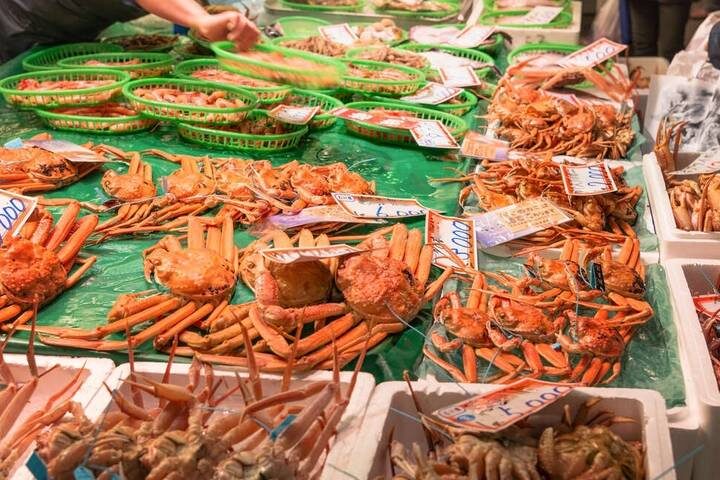 A Taste of Japan - Tokyo, Kyoto and Osaka by Explore! - 12-Day Tour - Osaka’s street food and city views