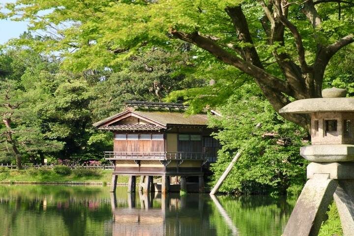 A Taste of Japan - Tokyo, Kyoto and Osaka by Explore! - 12-Day Tour - Should you book this Japan tour?