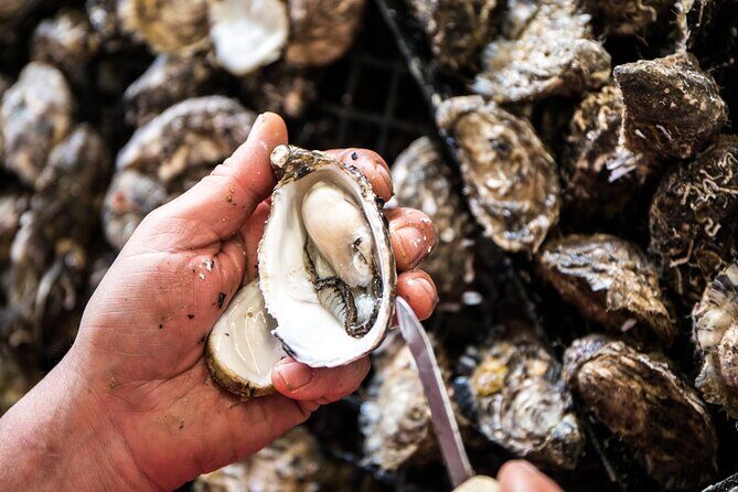 A Taste Of Kangaroo Island - Final Thoughts