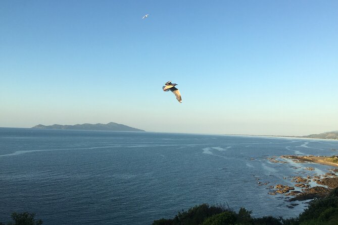 A Taste of Kapiti - Kapiti Foodie Delights Tour - The Sum Up
