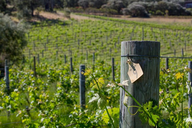 A Taste of Margaret River Seaplane Tour - Additional Info