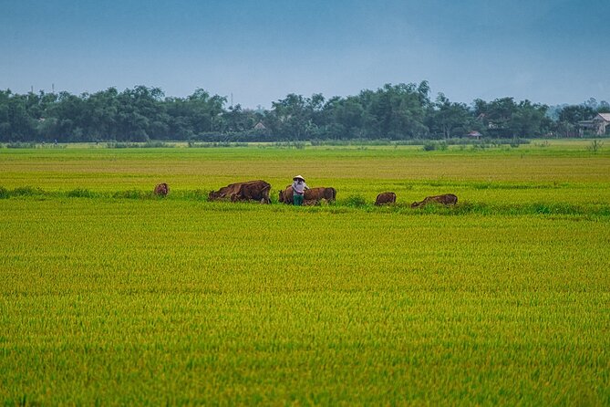 A Taste of Rural Life in Ancient Thanh Toan - Experiencing Rural Life in Thanh Toan