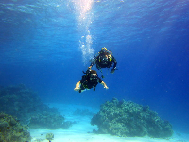A taste of scuba in Koh Tao with PADI 5 Star center - One underwater outing, with the site chosen that day