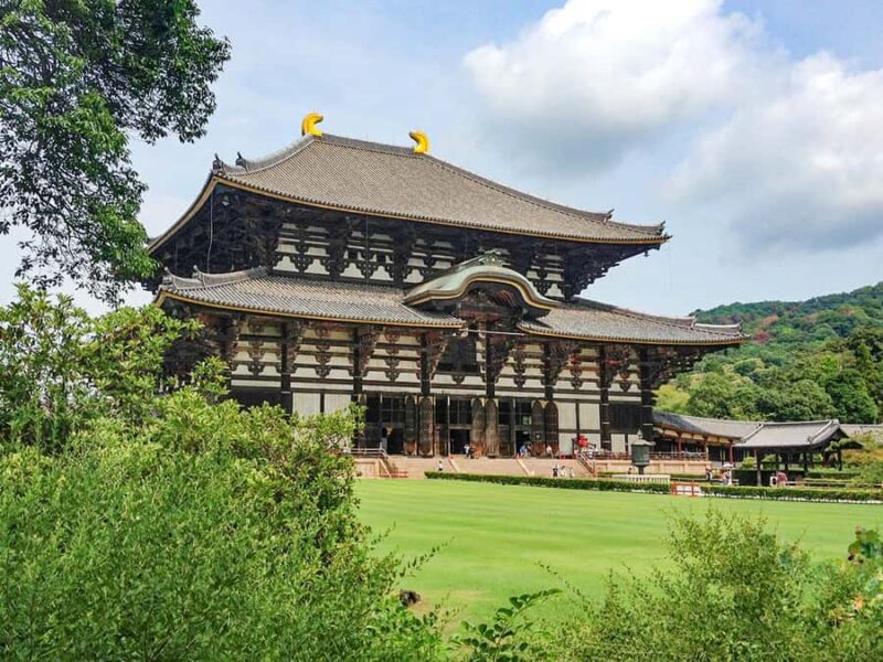 A Thousand Blossoms & Deer: Nara Spring Day Tour - Seamless Transportation and Expert Guides