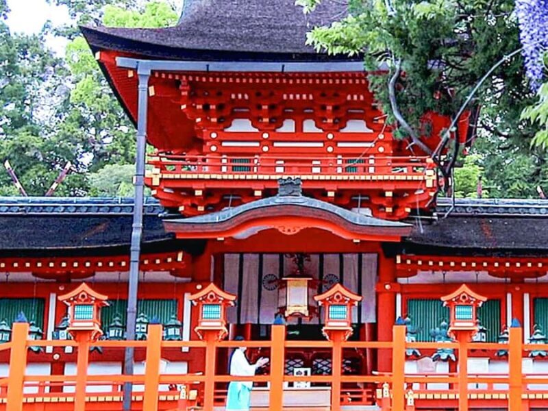 A Thousand Blossoms & Deer: Nara Spring Day Tour - Final Thoughts