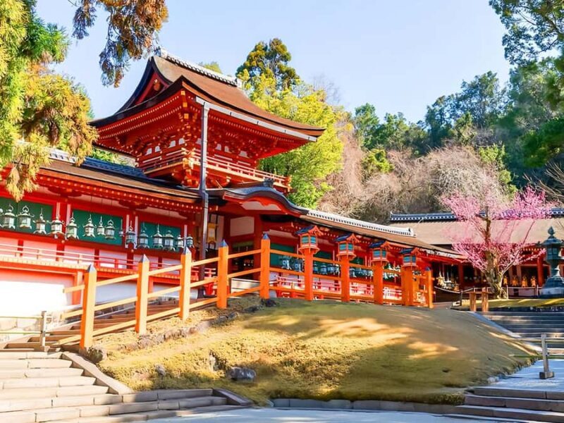 A Thousand Blossoms & Deer: Nara Spring Day Tour - FAQ