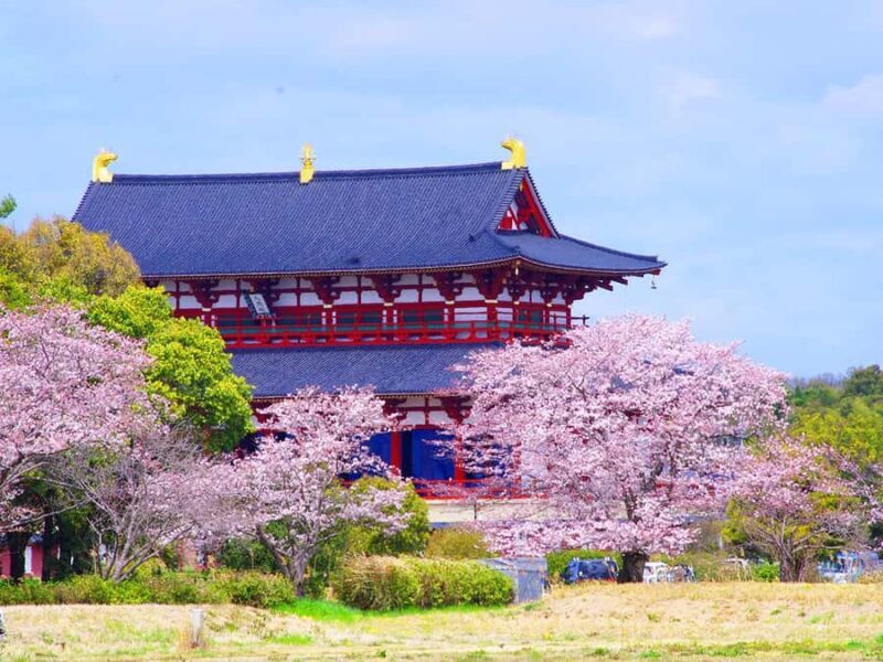 A Thousand Blossoms & Deer: Nara Spring Day Tour - Introduction