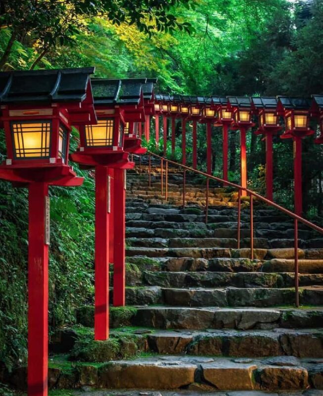 A Thousand Years in One Day: Kyoto & Nara Panoramic Tour - Why Choose This Tour?