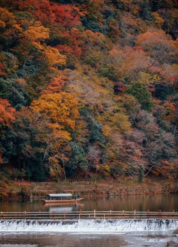 A Thousand Years in One Day: Kyoto & Nara Panoramic Tour - Final Thoughts