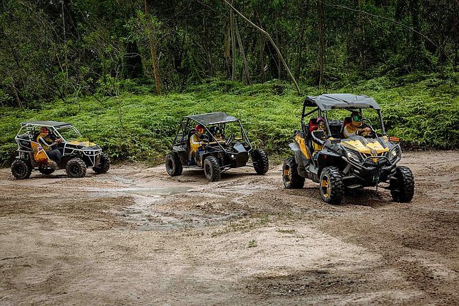 A Thrilling Off-Road Buggy Adventure in Pattaya - A Guided Tour - Common Questions