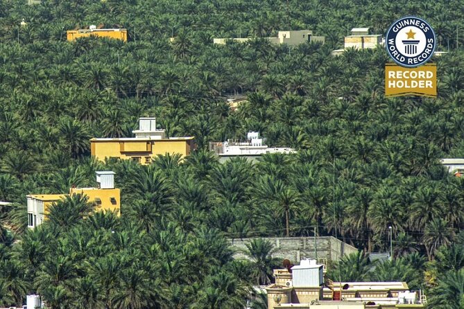 A Tour in Al Ahsa the Largest Oasis in the World - Frequently Asked Questions