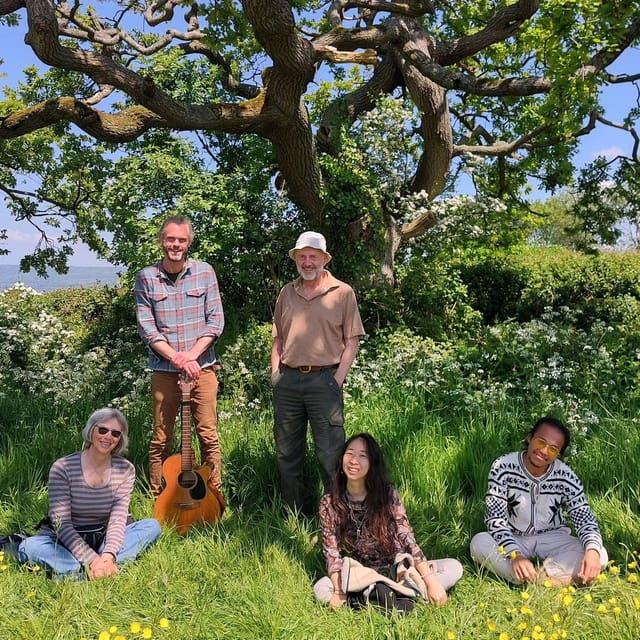 A Tour of Glastonbury - Guided by the Trees - The Practicalities: What to Expect and Bring