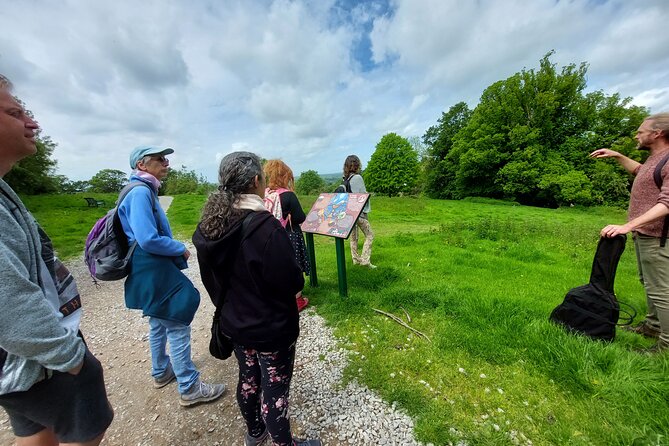 A Tour of Glastonbury, Guided by the Trees. - Reviews
