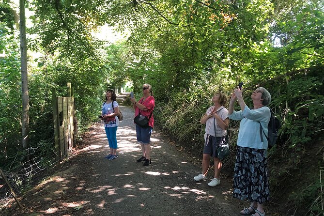 A Tour of Glastonbury, Guided by the Trees. - Tour Highlights